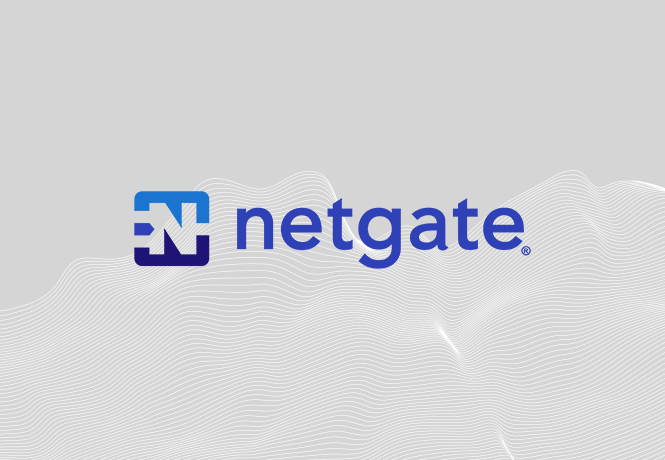 Netgate Partners With PatchAdvisor to Offer Internet Presence Vulnerability Assessment